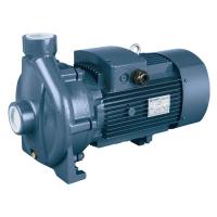 Моноблочный насос с резьбовыми патрубками Purity PCm 6B (N)