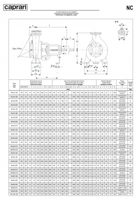 Одноступенчатые горизонтальные центробежные насосы Caprari NC 50-200 1450