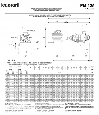 Горизонтальные многоступенчатые насосы высокого давления Caprari PM 125 2900