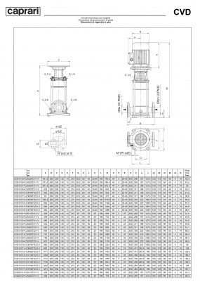 Вертикальные многоступенчатые насосы Caprari CVD 201 из нержавеющей стали