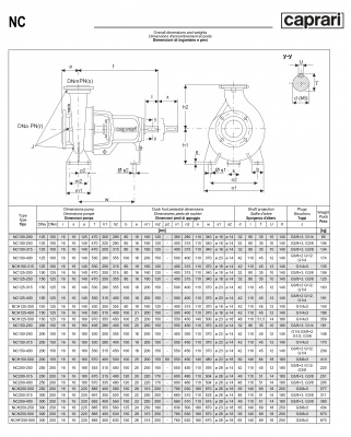 Одноступенчатые горизонтальные центробежные насосы Caprari NC 100-200 1450