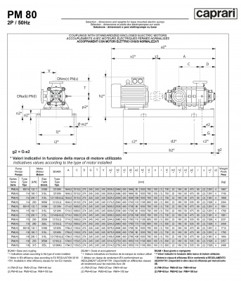 Горизонтальные многоступенчатые насосы высокого давления Caprari PM 80 1450