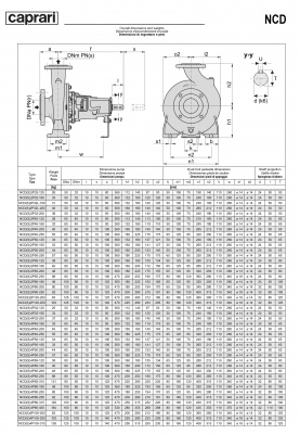 Одноступенчатые горизонтальные центробежные насосы Caprari NCDS 4P40-250 1750