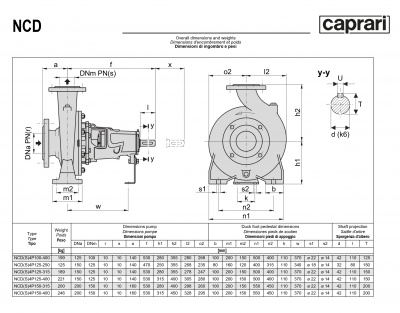 Одноступенчатые горизонтальные центробежные насосы Caprari NCD 4P125-400 1450