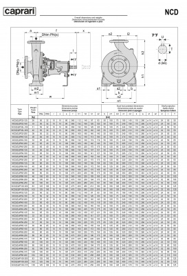 Одноступенчатые горизонтальные центробежные насосы Caprari NCD 2P50-125 2900