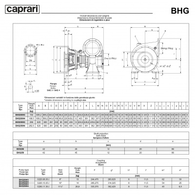 Фланцевый насос Caprari MEC-MG, MEC-AG, BHG 1600 для дизельного двигателя