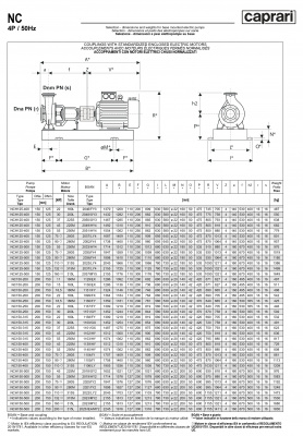 Одноступенчатые горизонтальные центробежные насосы Caprari NC 150-250 1450