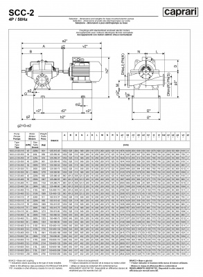 Горизонтальные насосы двустороннего входа Caprari SCC-2-150-460 1450