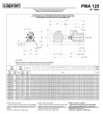 Горизонтальные многоступенчатые насосы высокого давления Caprari PMA 125 1450