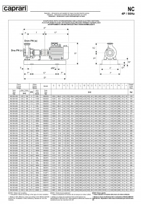 Одноступенчатые горизонтальные центробежные насосы Caprari NC 125-200 2900