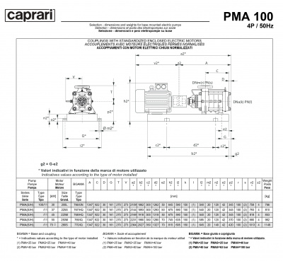 Горизонтальные многоступенчатые насосы высокого давления Caprari PMA 100 1750