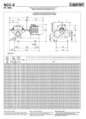 Горизонтальные насосы двустороннего входа Caprari SCC-2-125-480 1450