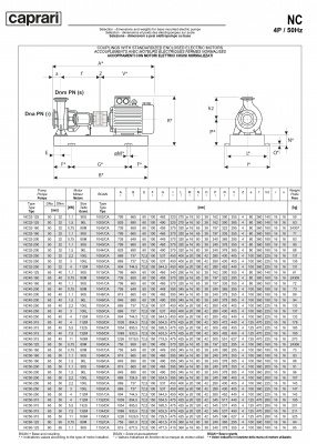 Одноступенчатые горизонтальные центробежные насосы Caprari NC 40-250 2900