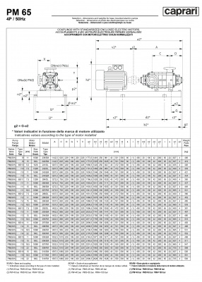 Горизонтальные многоступенчатые насосы высокого давления Caprari PM 65 1450