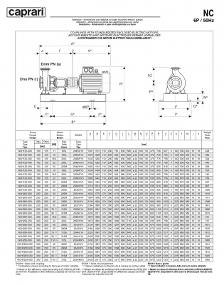 Одноступенчатые горизонтальные центробежные насосы Caprari NCH 250-250 950