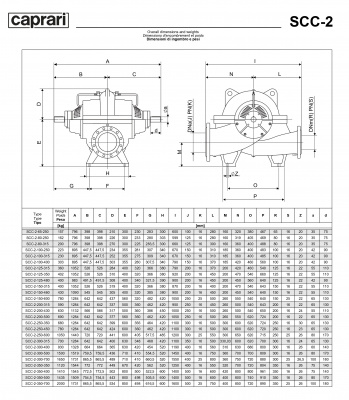 Горизонтальные насосы двустороннего входа Caprari SCC-2-200-315 1450