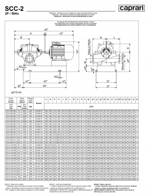 Горизонтальные насосы двустороннего входа Caprari SCC-2-100-315 1450