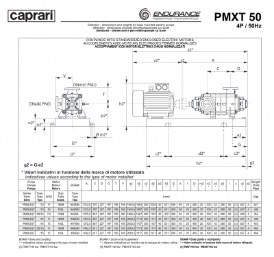 Горизонтальные секционные насосы высокого давления Caprari PMXT 50 2200 из нержавеющей стали