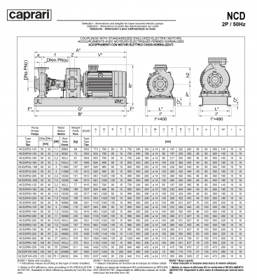 Одноступенчатые горизонтальные центробежные насосы Caprari NCD 2P32-160 2900