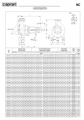 Одноступенчатые горизонтальные центробежные насосы Caprari NC 80-200 2900