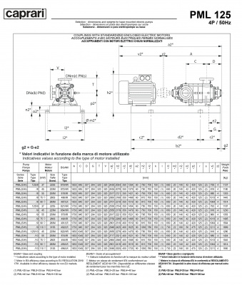 Горизонтальные многоступенчатые насосы высокого давления Caprari PML 125 2200