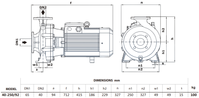 Центробежный насос Purity PSTG-R5 40-250/92