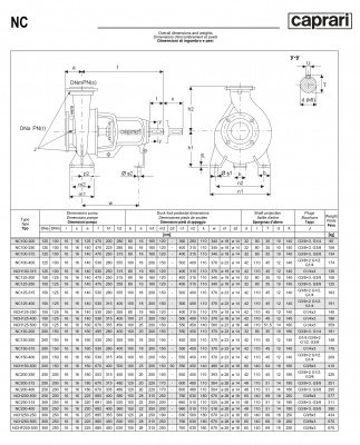 Одноступенчатые горизонтальные центробежные насосы Caprari NCH 250-250 1450