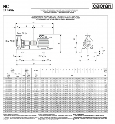 Одноступенчатые горизонтальные центробежные насосы Caprari NC 125-200 1450