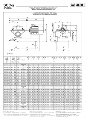 Горизонтальные насосы двустороннего входа Caprari SCC-2-300-400 1450