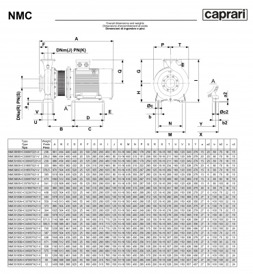 Поверхностные одноступенчатые консольно-моноблочные насосы Caprari NMC 65 2P