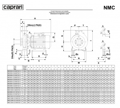 Поверхностные одноступенчатые консольно-моноблочные насосы Caprari NMC 50 2P