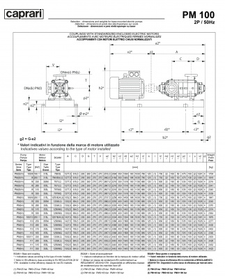 Горизонтальные многоступенчатые насосы высокого давления Caprari PM 100 2900