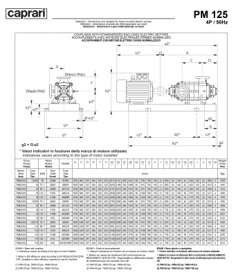 Горизонтальные многоступенчатые насосы высокого давления Caprari PM 125 2200