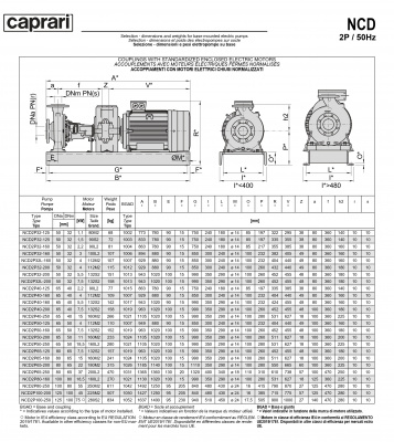 Одноступенчатые горизонтальные центробежные насосы Caprari NCD 2P80-160 2900