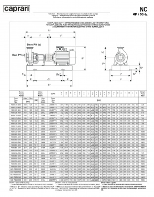 Одноступенчатые горизонтальные центробежные насосы Caprari NCH 125-500 1450