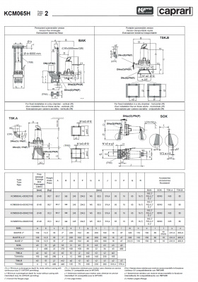 Погружные канализационные элктронасосы Caprari KCM065H