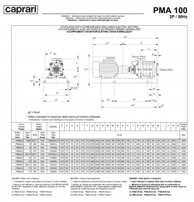 Горизонтальные многоступенчатые насосы высокого давления Caprari PMA 100 1750