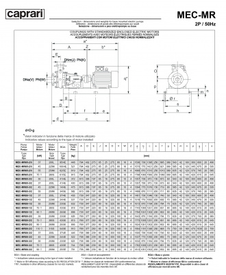 Горизонтальные многоступенчатые насосы Caprari MEC-MR 1750