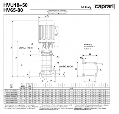 Вертикальные многоступенчатые насосы Caprari HV 80