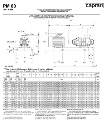 Горизонтальные многоступенчатые насосы высокого давления Caprari PM 80 2000