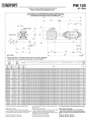 Горизонтальные многоступенчатые насосы высокого давления Caprari PM 125 2200