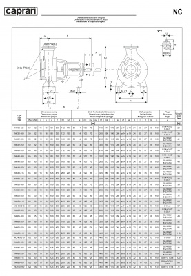 Одноступенчатые горизонтальные центробежные насосы Caprari NC 80-250 2900