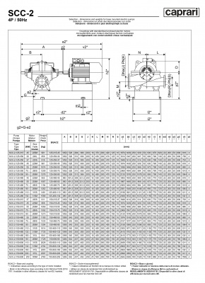 Горизонтальные насосы двустороннего входа Caprari SCC-2-125-315 1450