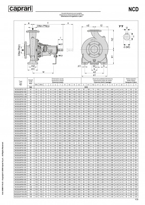 Одноступенчатые горизонтальные центробежные насосы Caprari NCDS 4P80-400 1750