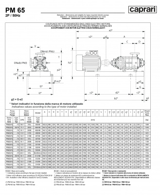 Горизонтальные многоступенчатые насосы высокого давления Caprari PM 65 2200