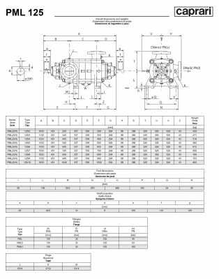 Горизонтальные многоступенчатые насосы высокого давления Caprari PML 125 2200