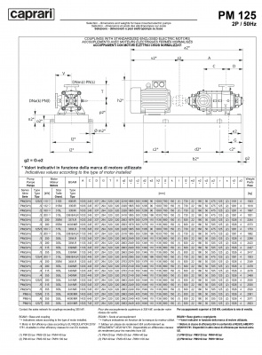 Горизонтальные многоступенчатые насосы высокого давления Caprari PM 125 2900