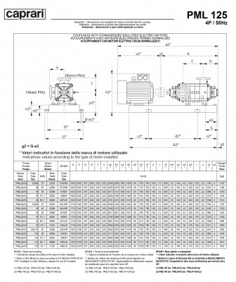 Горизонтальные многоступенчатые насосы высокого давления Caprari PMAL 125 1450