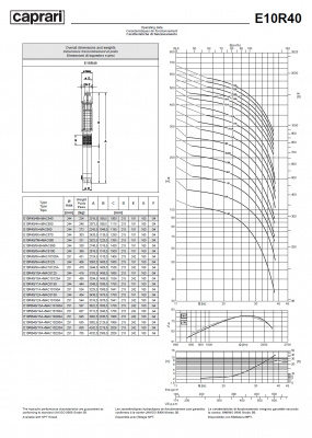 Скважинные насосы Caprari E10R40 из чугуна