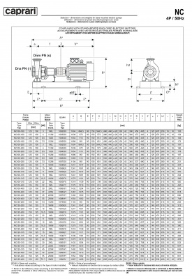 Одноступенчатые горизонтальные центробежные насосы Caprari NC 100-400 1450